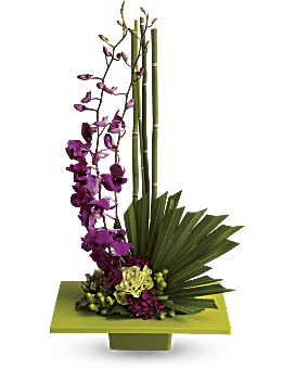 Orchid Floral Arrangement By Teleflora. Order Flowers Online For Same Day Delivery.