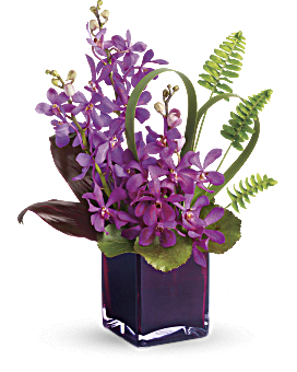 Purple Mokara Orchids & Tropical Greens In A Plum-Colored Glass Cube Vase. Same Day Flower Delivery. Teleflora Island Princess.
