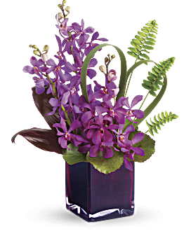 Orchid Bouquet Orchid Arrangements Teleflora