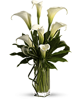 White , Calla Lilies , My Fair Lady , Same Day Flower Delivery By Teleflora
