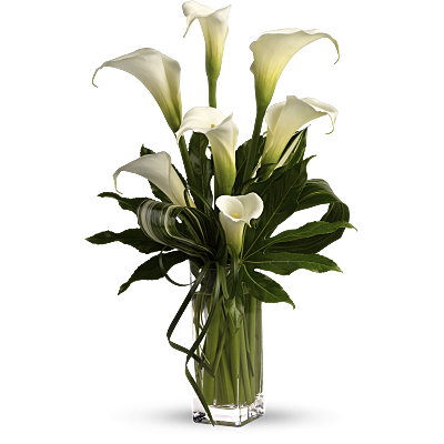 My Fair Lady by Teleflora