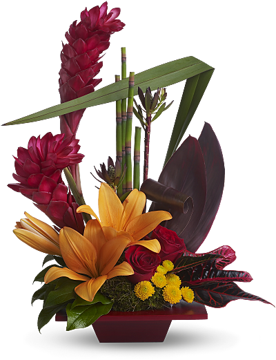 Comprar flores tropicales