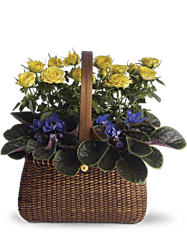 Multi-Colored , Roses , Garden To Go Basket , Same Day Flower Delivery By Teleflora