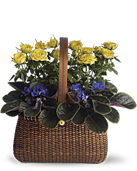 Garden To Go Basket Basket Arrangement