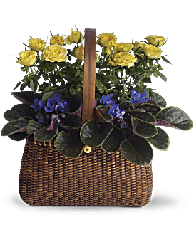 Arreglo de la cesta de la cesta del jardín para llevar