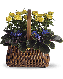 Garden To Go Basket Basket Arrangement