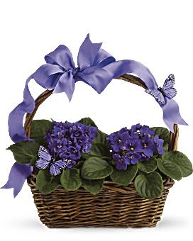 Gift Baskets Gourmet Food And Flower Baskets Teleflora