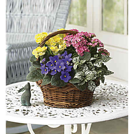Spring Has Sprung Mixed Basket - Teleflora