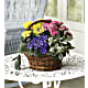 Spring Has Sprung Mixed Basket