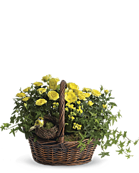 Arrangement floral Panier de panier Trio jaune