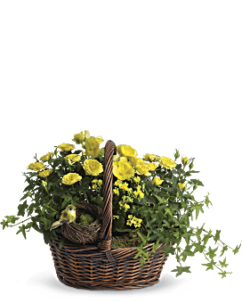 Yellow Trio Basket Basket Arrangement