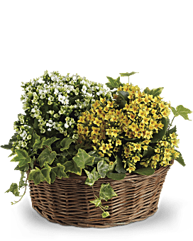 Yellow , Mixed Bouquets , Basket Of Joy , Same Day Flower Delivery By Teleflora