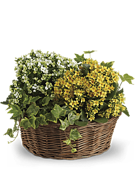 Basket of Joy Basket Arrangement