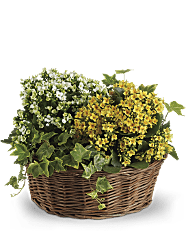 Basket of Joy Basket Arrangement