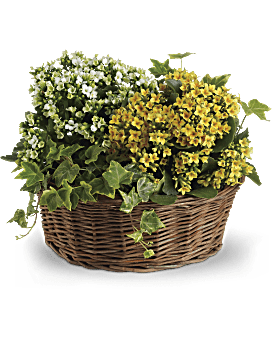 Basket of Joy Basket Arrangement