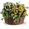 Basket of Joy Basket Arrangement