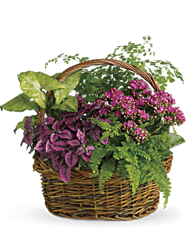 Secret Garden Basket