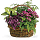 Secret Garden Basket