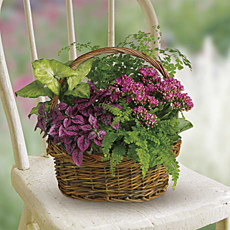 Secret Garden Basket - Teleflora