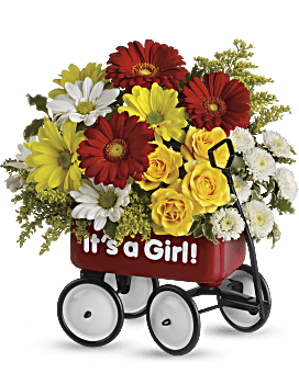 Baby's Wow Wagon by Teleflora - Girl Flower Arrangement