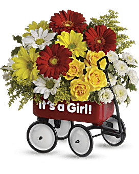 Vive le Wagon de bébé de Teleflora - Arrangement floral pour fille