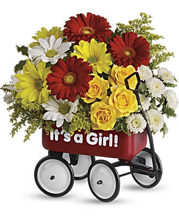 Baby S Wow Wagon By Teleflora Girl Flower Arrangement Teleflora