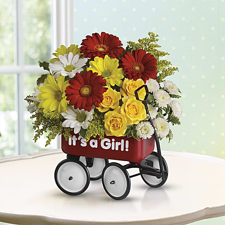 Baby's Wow Wagon  - Girl
