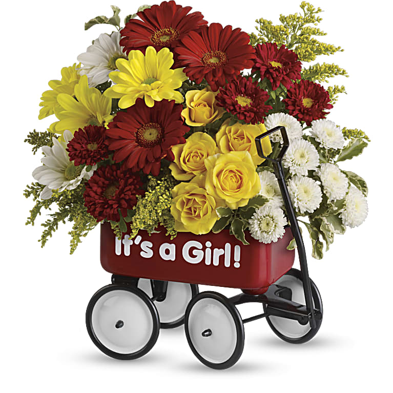 Baby's Wow Wagon  - Girl