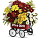 Baby's Wow Wagon  - Girl