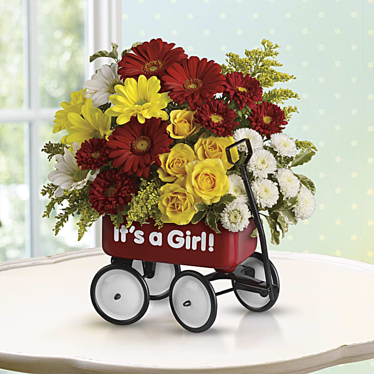 Baby's Wow Wagon  - Girl