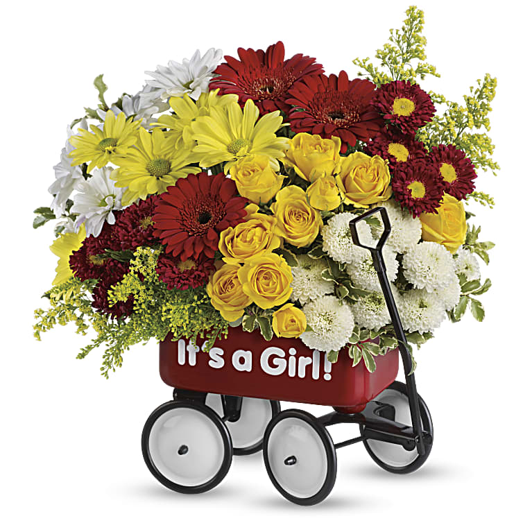 Baby's Wow Wagon  - Girl