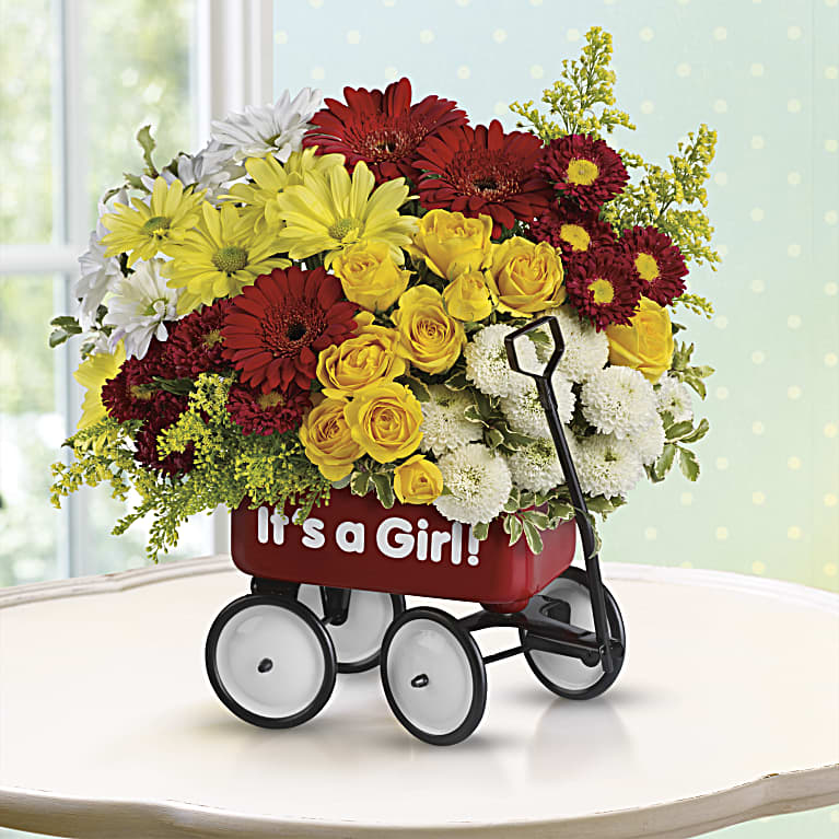 Baby's Wow Wagon  - Girl