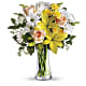 Daisies and Sunbeams