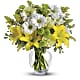 Brightly Blooming