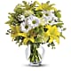 Brightly Blooming