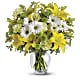 Brightly Blooming