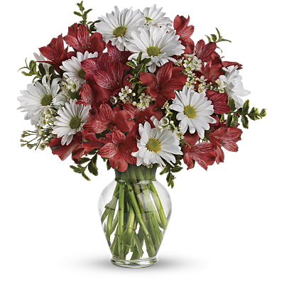Alstroemeria Peruvian Lily Flower Meaning Symbolism Teleflora