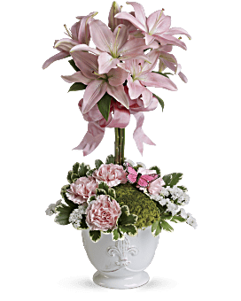 Teleflora's Blushing Lilies Plant