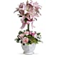 Blushing Lilies