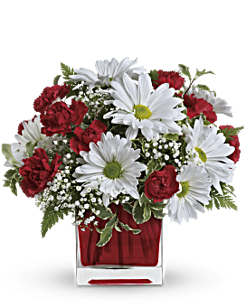 Miniature Red Carnations, White Daisy Chrysanthemums With Fresh Greenery. Same Day Flower Delivery. Teleflora Red And White Delight Bouquet.