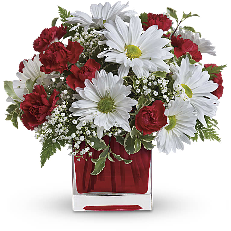 Red And White Delight
