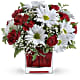 Red And White Delight