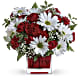 Red And White Delight