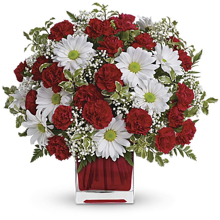 Red And White Delight