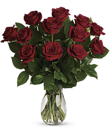 プルートlove  V5604P_MAC.jpg?v=1736199189