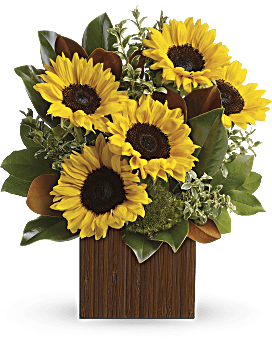 Multi-Colored , Sunflowers , You're Golden Bouquet , Same Day Flower Delivery By Teleflora