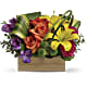 Shades Of Brilliance Bouquet