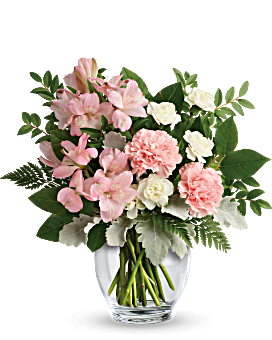 Flower Delivery By Teleflora, Pink Alstroemeria, Pink Carnations, White Mini Carnations, Dusty Miller & More. Teleflora Whisper Soft Mixed Bouquet