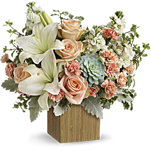 Shop Teleflora Desert Sunrise succulent bouquet