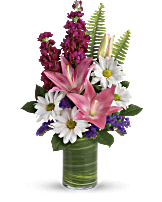 Teleflora's Playful Daisy Bouquet